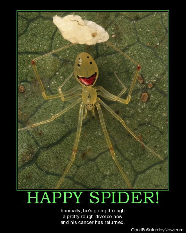 Happy spider - why is he so happy