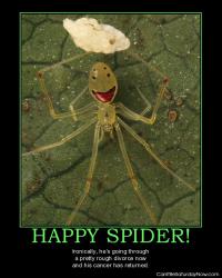 Happy spider