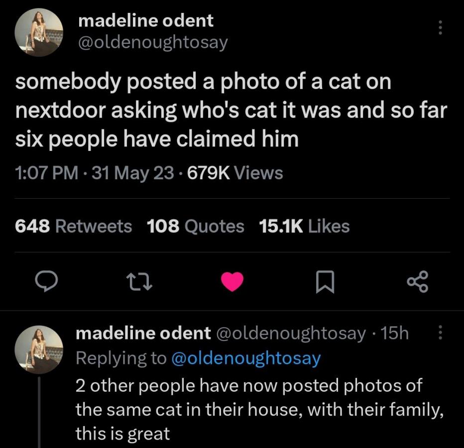 whore cat - not homeless at all