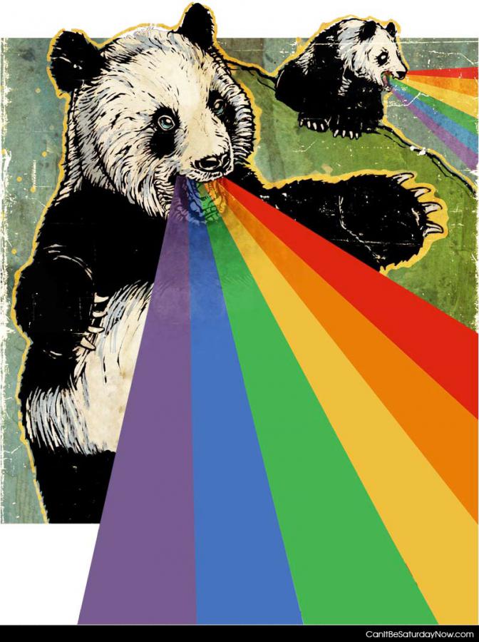Rainbow panda - deadly attack rainbow panda