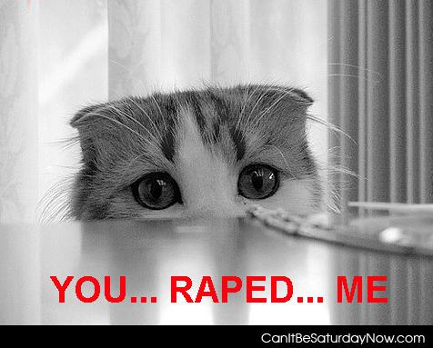 Raped kitty - why did you rape the kitty