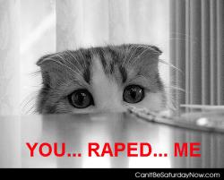 Raped kitty