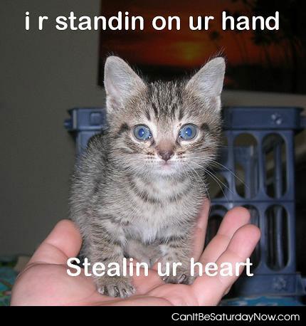 Stealing your heart - i am stealing it