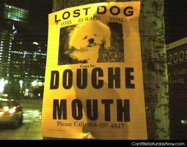 Douche dog - this dog is a douche