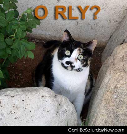 O rly outside - are you sure ?