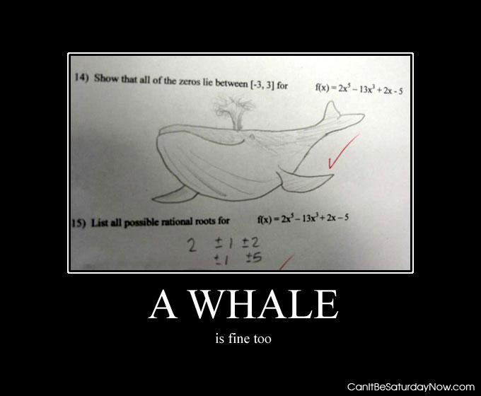 Good whale - a whale is a good answer too