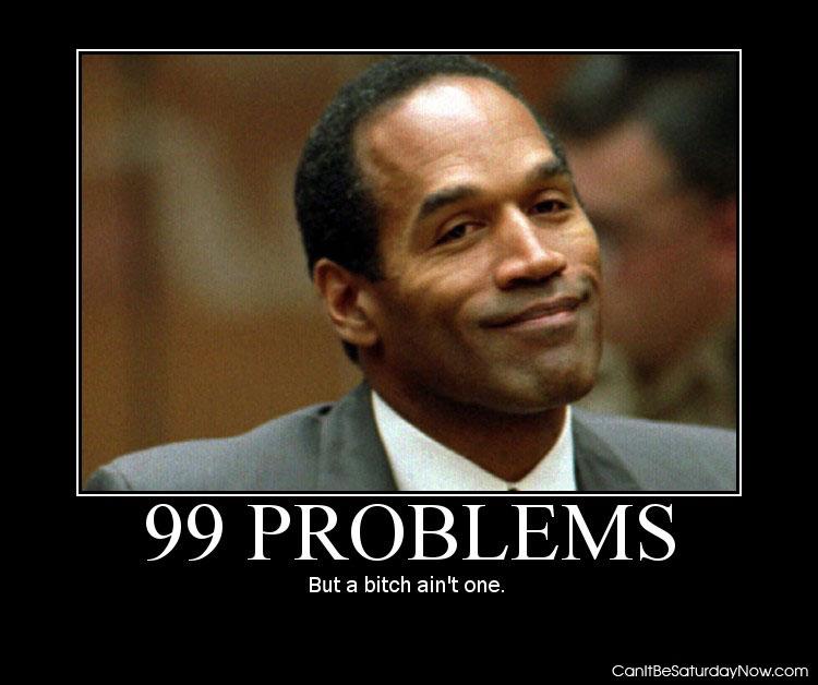 99 Problems - But a bitch ain't one