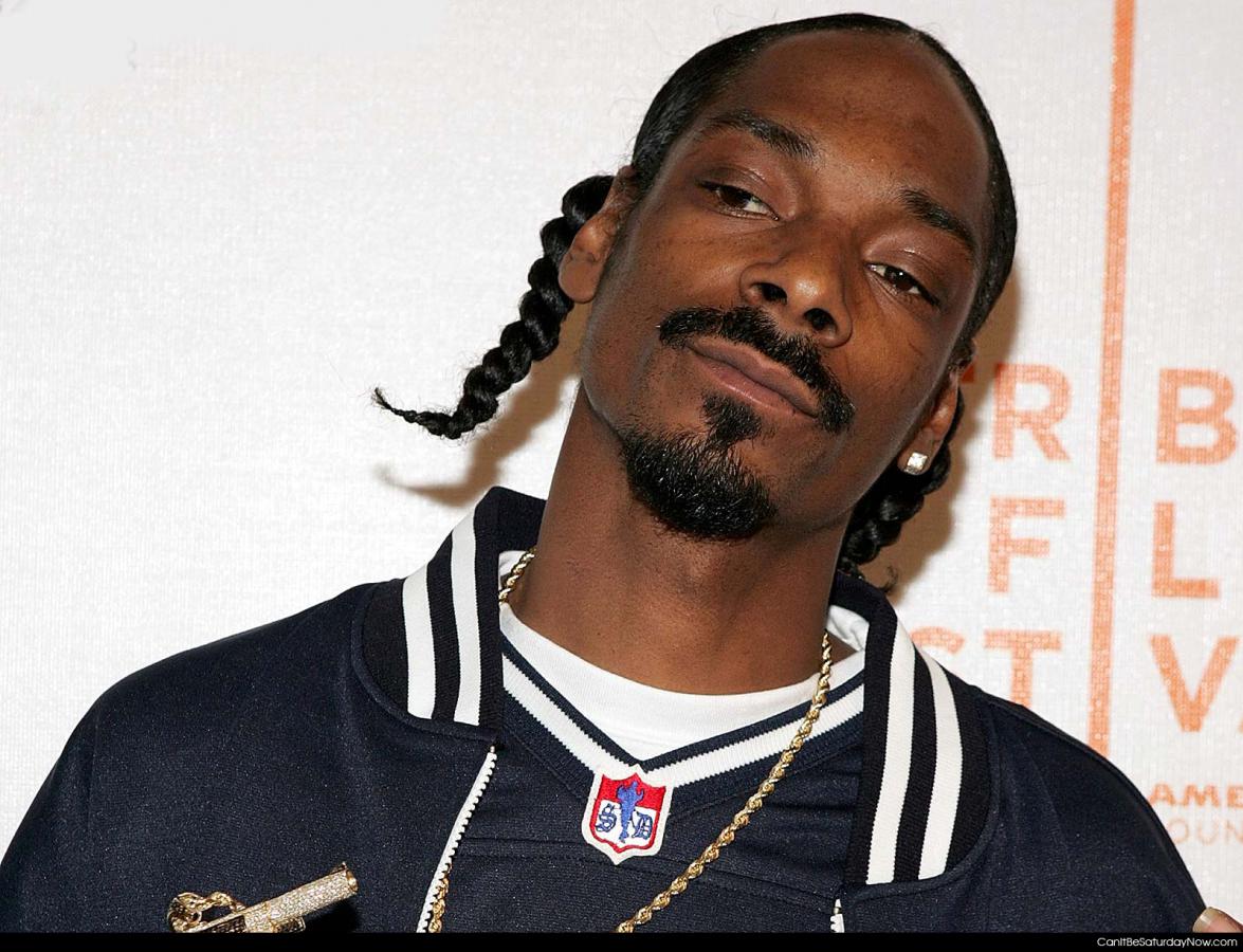 Snoop dogg - dee oh double gee foo