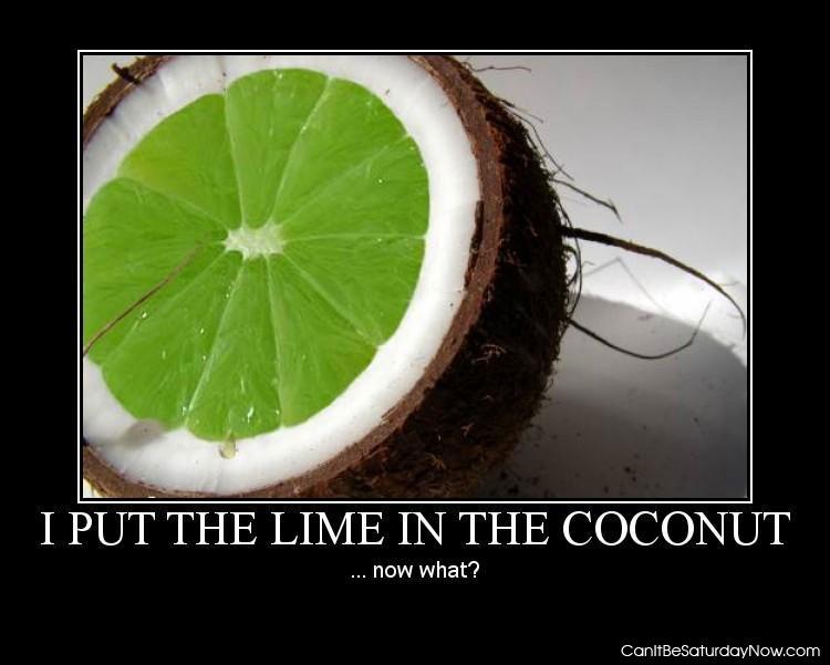 Lime in the coconut - now what?