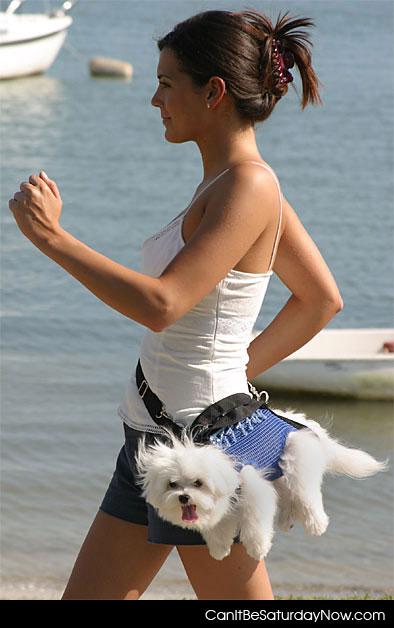 Dog purse - Its a dog no its purse no its both you lazy skinny lady
