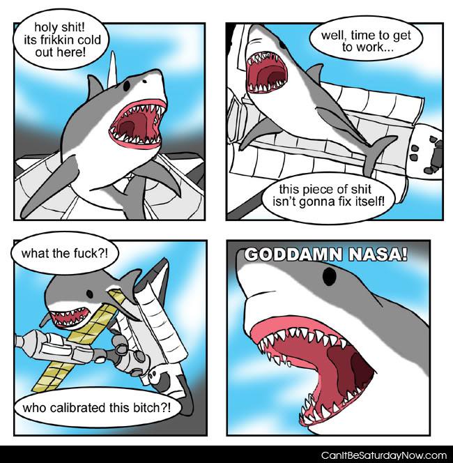 Shark nasa - What if NASA hired a shark