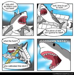 Shark nasa