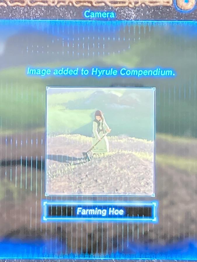 Farming Hoe - that is a hoe