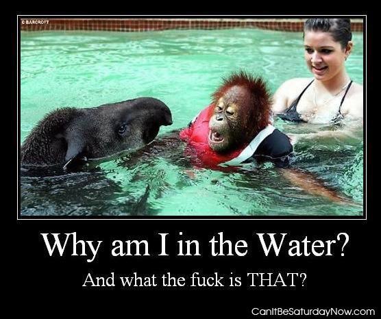 Wtf water - wtf is that