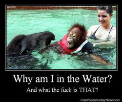 Wtf water