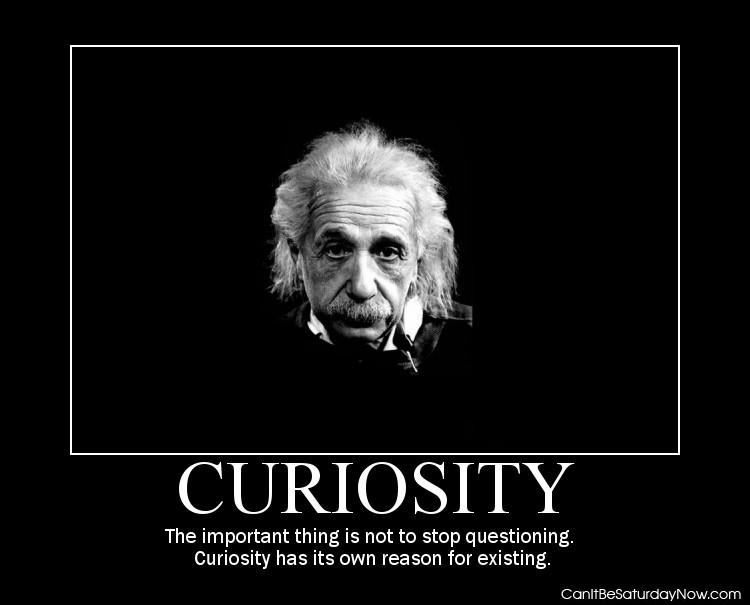 Curiosity man - Curiosity has its own reasons