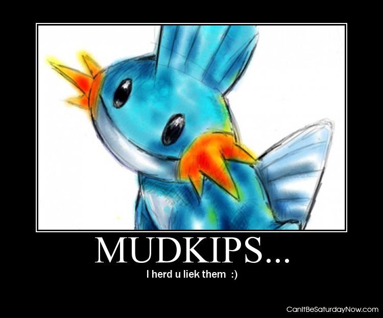 Mudkips - He herd some things