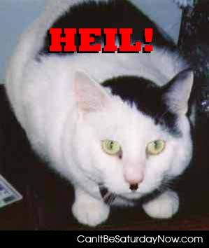 Heil kitty - this kitty wants to burn people