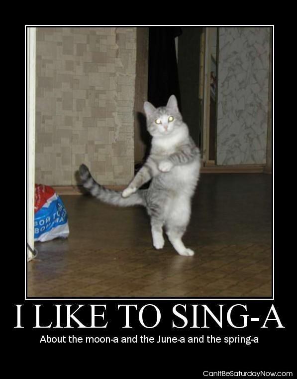 Dance cat - cat likes to sing and dance