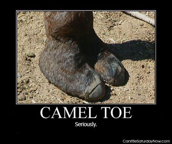 Camel Toe - That is a big Camel Toe