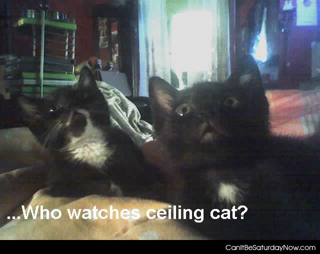 Watch ceiling cat - who watches ceiling cat