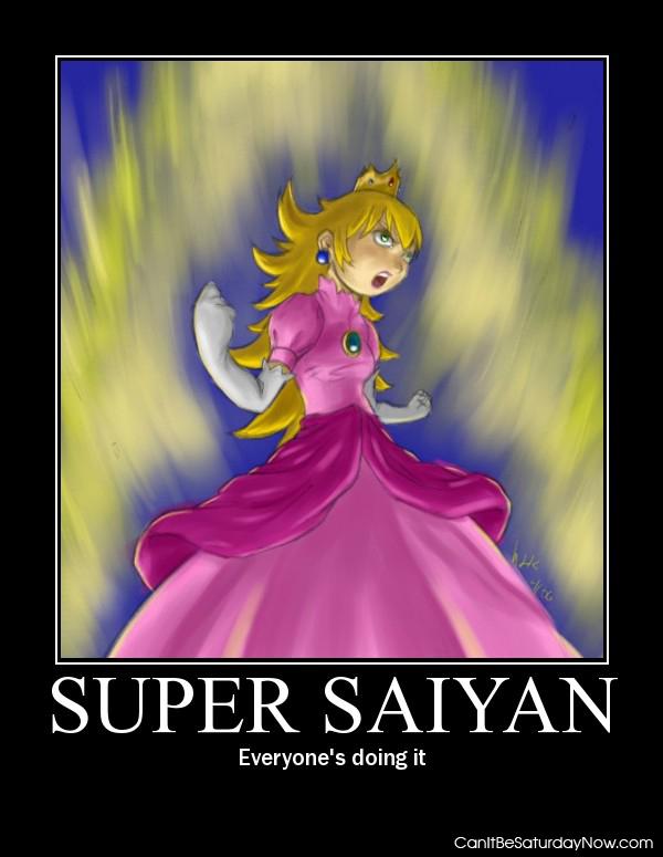 Super saiyan - do not anger the princess