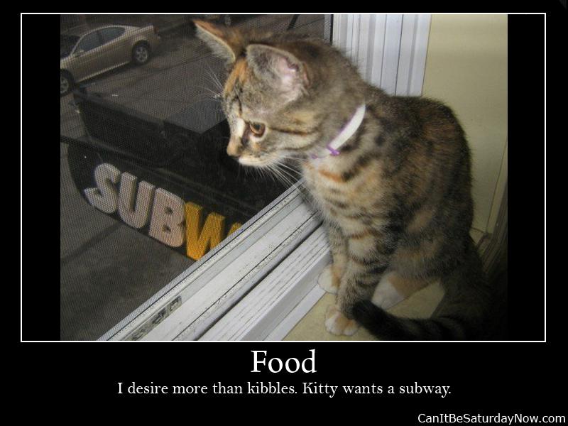 Feed kitty - Kitty wants a subway