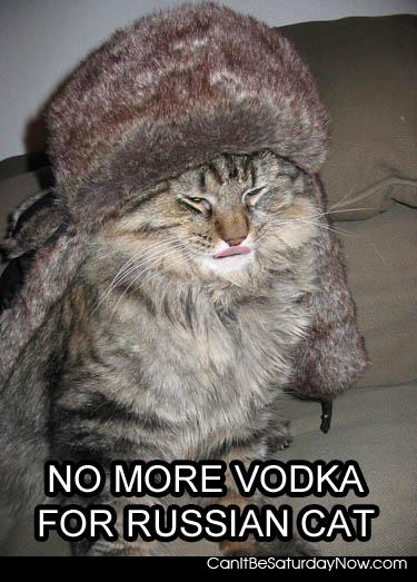 Russian cat - he needs not drink any more