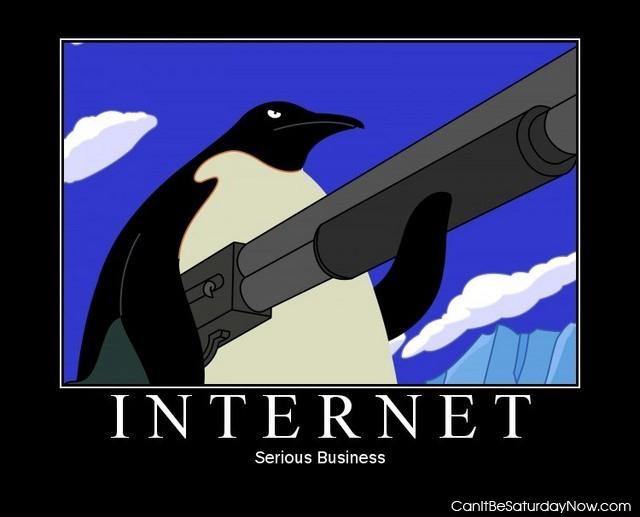 Internet guns - Serious Business