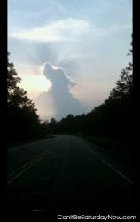 Dog cloud