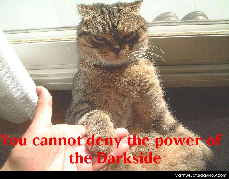 Kitty darkside - you can not deny the power of the dark side