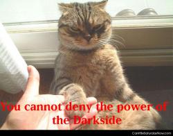 Kitty darkside
