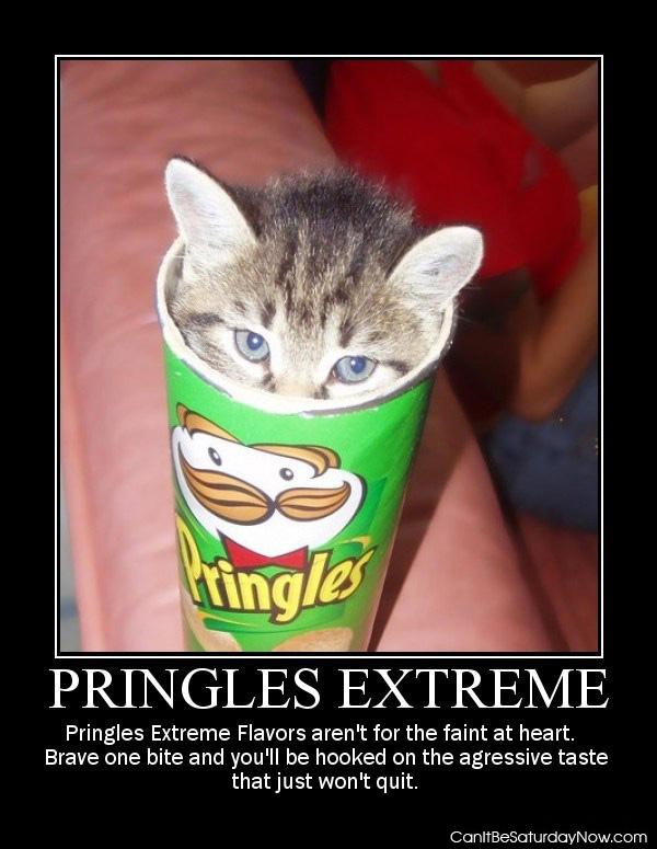 Pringles Extreme - taste like kitten