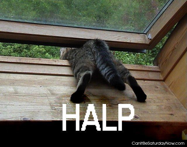 Halp stuck - halp kitty is stuck