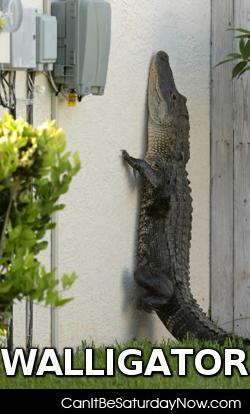 Walligator - coming to a wall near you