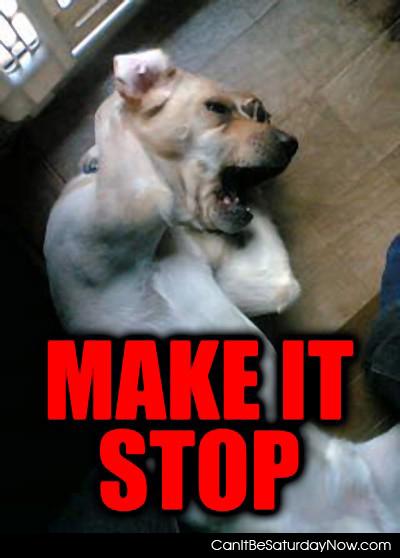 Dog stop - dog wants it to stop