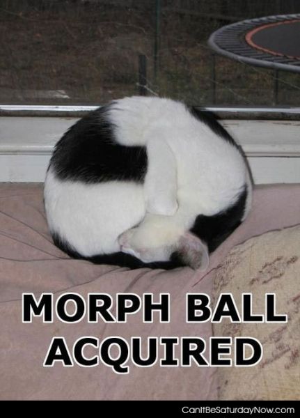 Can It Be Saturday Now .com ? - Morph ball
